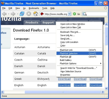 Firefox FlashGot screenshot