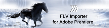 FLV Importer Pro for Adobe Premiere Pro screenshot 3