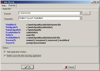 Folder Watcher Windows Service screenshot 2