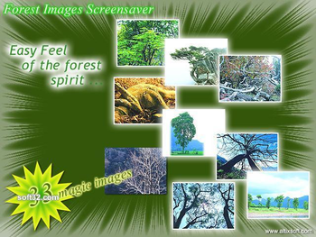 Forest Images Screensaver screenshot 2