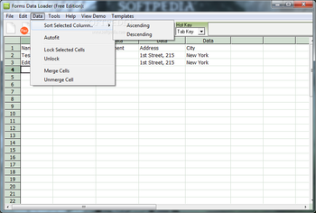 Forms Data Loader screenshot 5