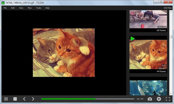GIF Player screenshot 4