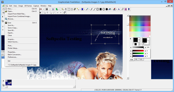 GraphicsGale Free Edition screenshot 2