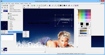 GraphicsGale Free Edition screenshot 3
