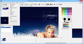 GraphicsGale Free Edition screenshot 4