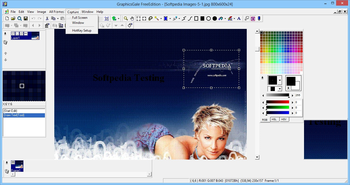 GraphicsGale Free Edition screenshot 5