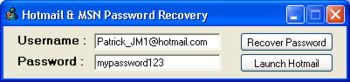 Hotmail & MSN Password Recovery screenshot