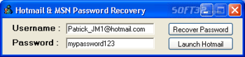 Hotmail & MSN Password Recovery screenshot 2