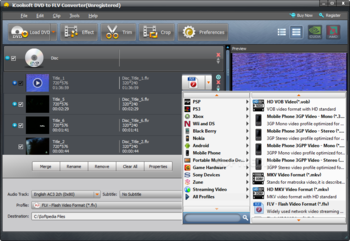 iCoolsoft DVD to FLV Converter screenshot 2