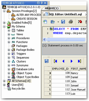 Insight Developer for Oracle screenshot