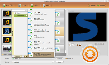 iOrgSoft Audio Converter screenshot 2