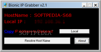 IP Grabber screenshot