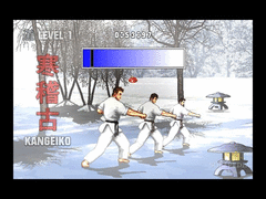 Karate Master screenshot 10