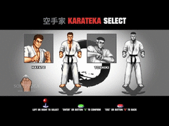Karate Master screenshot 2
