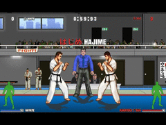 Karate Master screenshot 6