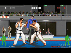 Karate Master screenshot 8