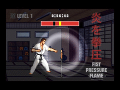 Karate Master screenshot 9