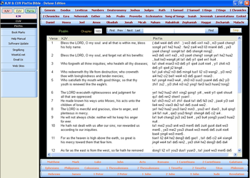 KJV & CUV PinYin Bible (FREE Edition) screenshot