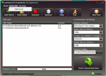LetsFun FLV Converter screenshot 3