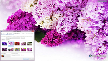 Lilac Flowers Windows 7 Theme screenshot