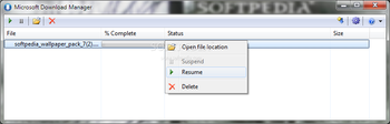 Microsoft Download Manager screenshot