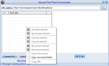 Moyea Free Flash Downloader screenshot