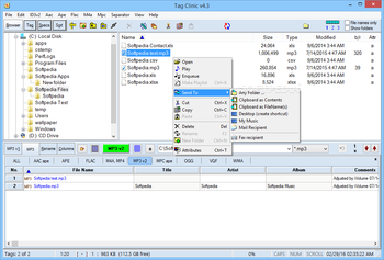MP3 Tag Clinic screenshot