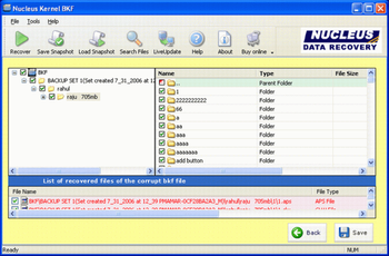 Nucleus Kernel BKF Repair Software screenshot