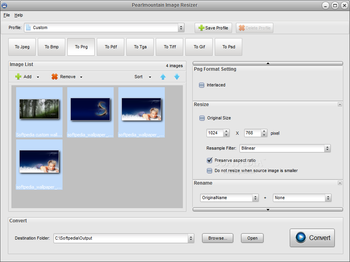 PearlMountain Image Resizer (formerly AnyPic Image Resizer) screenshot