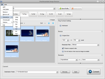 PearlMountain Image Resizer (formerly AnyPic Image Resizer) screenshot 2