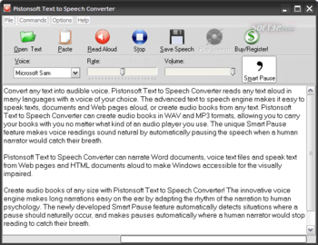 Pistonsoft Text to Speech Converter screenshot 3