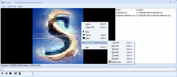 Player screenshot 2