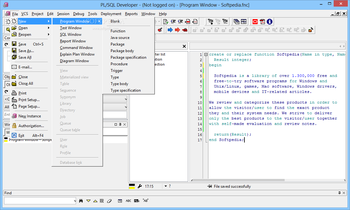 PL/SQL Developer screenshot 2