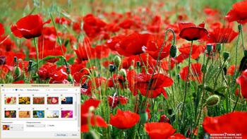 Poppy Windows 7 Theme screenshot