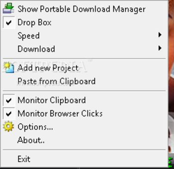 Portable Download Manager screenshot