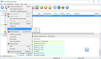 Portable Free Download Manager screenshot 4