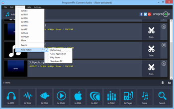 Program4Pc Audio Converter Pro screenshot 3