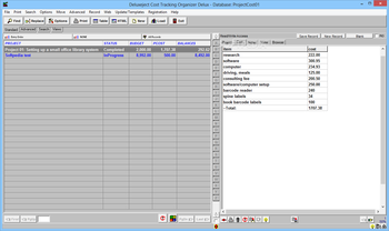 Project Cost Tracking Organizer Deluxe screenshot 2