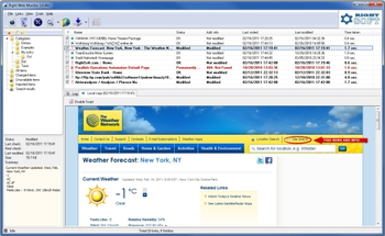 Right Web Monitor screenshot
