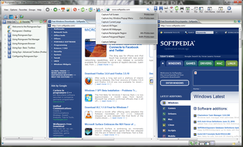 Risingware Browser screenshot 15