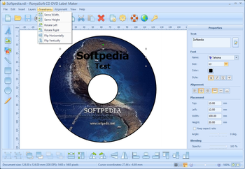RonyaSoft CD DVD Label Maker screenshot 6