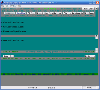 Shabda-Brahma ET-Feel Word-Storm Processor (SB) screenshot