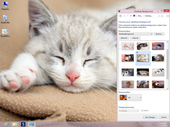 Sleepy Kittens Theme screenshot