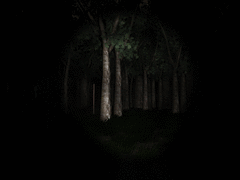 Slender: The Eight Pages screenshot 4