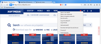 Spark Security Browser screenshot