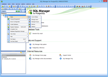 SQL Manager for PostgreSQL Portable screenshot 3