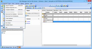 SQL Manager Lite for SQL Server screenshot 2