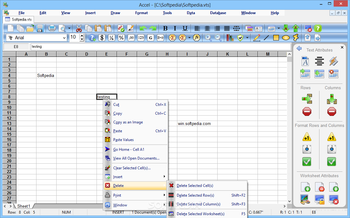 SSuite Office - Excalibur Release screenshot 8