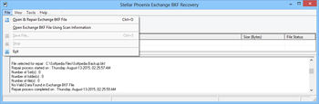Stellar Phoenix Exchange BKF Recovery screenshot 2