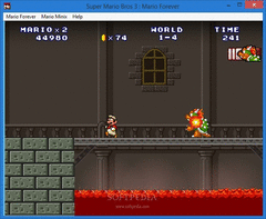Super Mario 3: Mario Forever screenshot 13